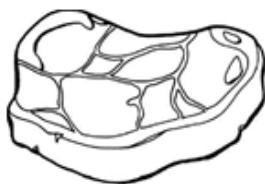 THOMSON THNF178EBI - Rood vlees - 1