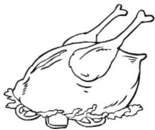 THOMSON THNF178EBI - Volaille - 1