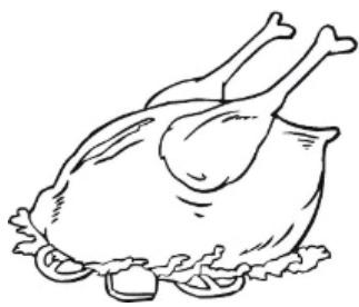 THOMSON THNF178EBI - Poultry - 1