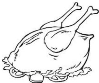 THOMSON THNF178EBI - Pluimvee - 1