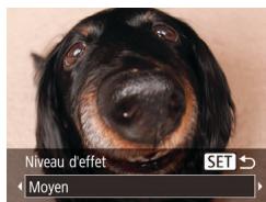 LEXAR 4294750 - Prise de vue avec un effet d'objet à très grand angle (effet très grand angle) - 1