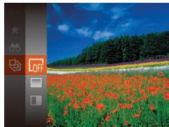 LEXAR 4294750 - Affichage des diaporamas - 1