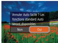 LEXAR 4294750 - Désactivation de la fonction auto facile - 2