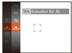 LEXAR 4294750 - Balance des blancs personnalisé - 1