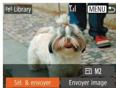 LEXAR 4294750 - Envoi de plusieurs images - 1