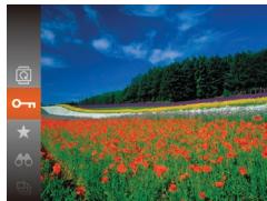 LEXAR 4294750 - Protection des images - 1
