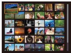 LEXAR 4294750 - Affichez les images dans un index. - 1