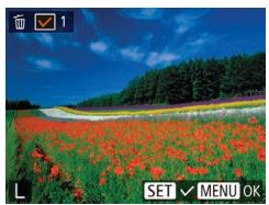 LEXAR 4294750 - Choisissez [choisir]. - 1