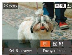 LEXAR 4294750 - Ajout de commentaires - 1