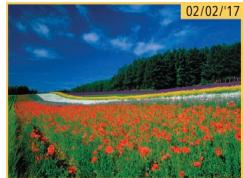 LEXAR 4294750 - Trouver des images correspondant aux critères spécifiés - 2