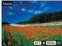 LEXAR 4294750 - Choisissez [favoris]. - 1