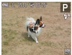 LEXAR 4294750 - Choix des sujets sur lesquels effectuer la mise au point (suivi AF) - 1