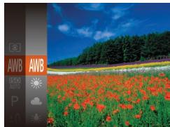 LEXAR 4294750 - Réglage de la balance des blancs - 1