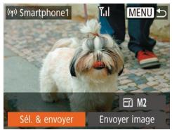 LEXAR 4294750 - Sélectionnez l'appareil photo auquel vous souhaitez vous connecter. - 3