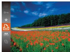 LEXAR 4294750 - Impression facile - 4