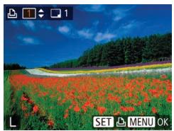 LEXAR 4294750 - Configuration de l'impression pour chaque image - 1