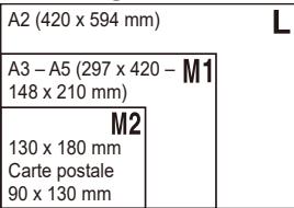 LEXAR 4294750 - Indications pour choisir le réglage des pixels d'enregistrement d'après le format de papier - 1