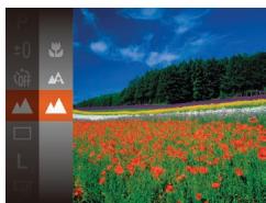 LEXAR 4294750 - Prise de vue de sujets éloignés (infini) - 1