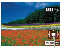 LEXAR 4294750 - Agrandissement des images - 2