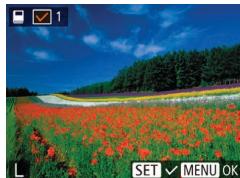 LEXAR 4294750 - Choix d'une méthode de sélection - 3