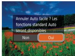 LEXAR 4294750 - Désactivation de la fonction auto facile - 2