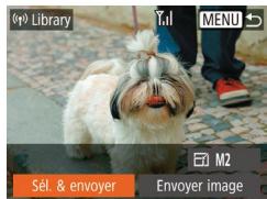 LEXAR 4294750 - Téléchargement d'images vers des services web - 3