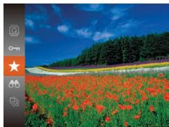 LEXAR 4294750 - Marquage des images comme favoris - 1