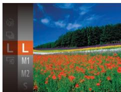 LEXAR 4294750 - Modification du nombre de pixels d'enregistrement (taille d'image) - 2