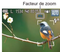 LEXAR 4294750 - Zoom avant rapproché sur des sujets (zoom numérique) - 2