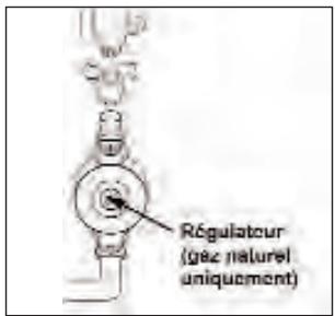 STOVES PRICH110DFBLAC - Pour l'australie - 1