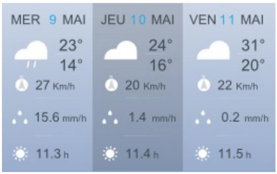 NETATMO STATION METEO - Mode résumé - 1