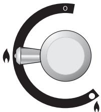 FALCON EXL 110 DFIV - Brûleurs de table de cuisson - 2