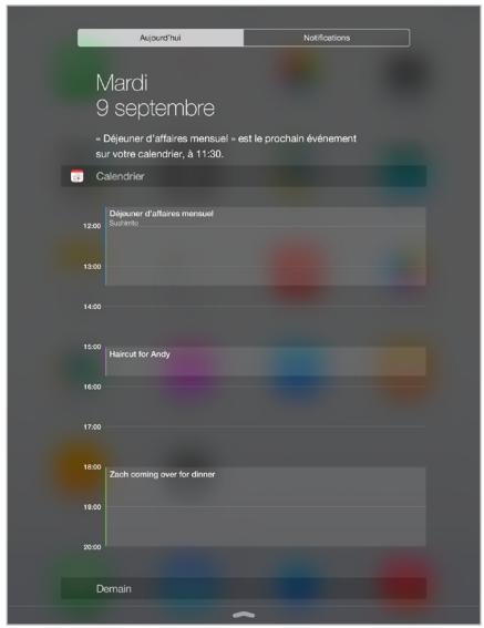 APPLE IPAD AIR 1 16 SG - Centre de notifications - 1