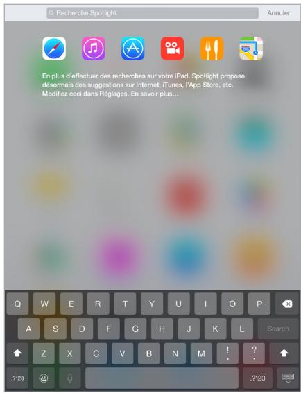 APPLE IPAD AIR 1 16 SG - Recherche spotlight - 1
