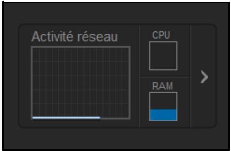 WESTERN DIGITAL MY CLOUD MIRROR 2 - Activité du réseau - 1