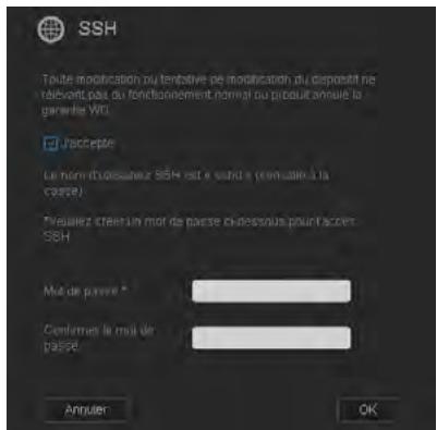 WESTERN DIGITAL MY CLOUD MIRROR 2 - Serveur distant - 3