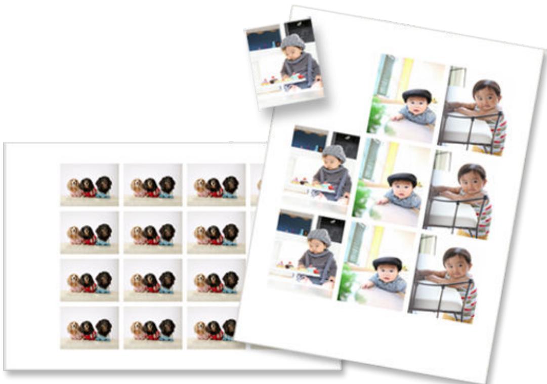 CANON Easy-PhotoPrint Editor - Impression d'autocollants - 1