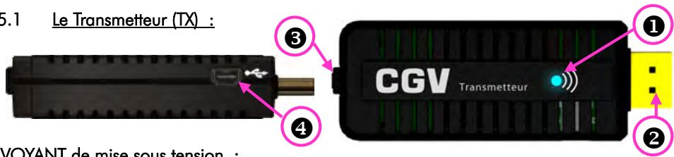 C6V BOITV FREELINE HD - Vue d'ensemble - 1