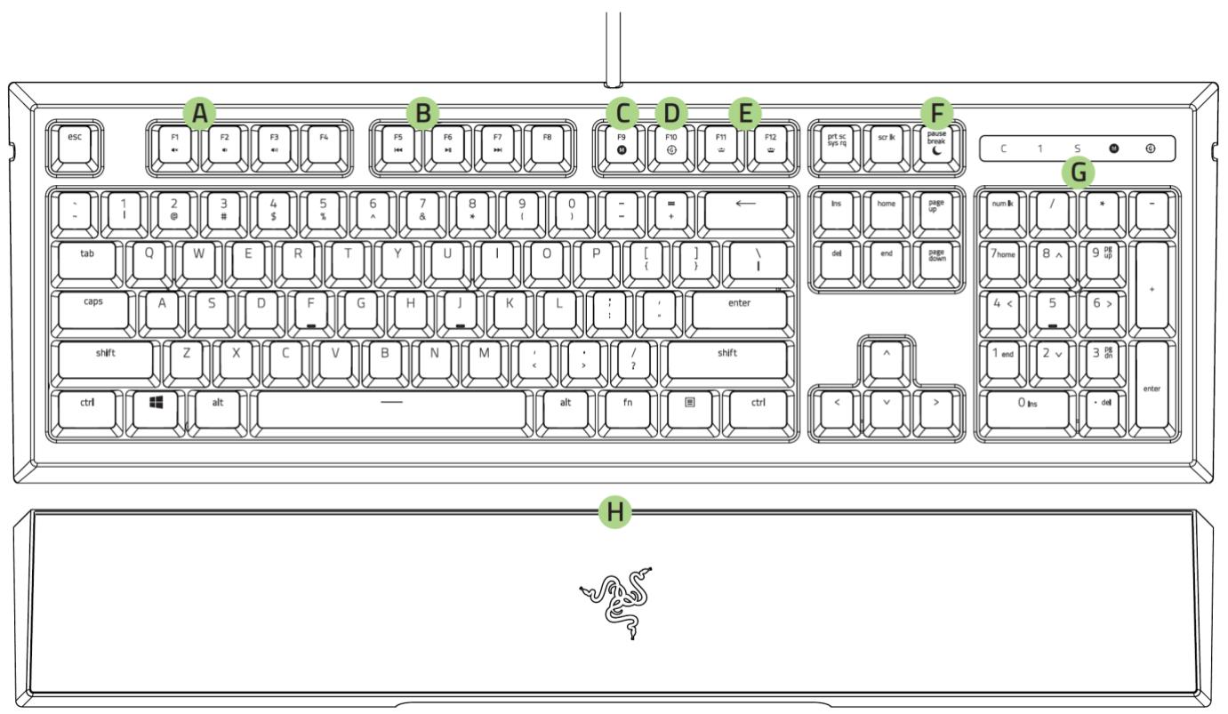 RAZER NC - DISPOSITION DU CLAVIER - 1