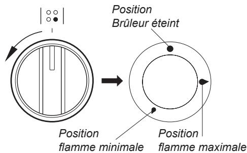 DARTY TMMP62.3W - Choix du récipient - 2