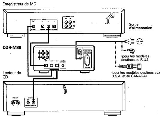 DENON CDR-M30 - Sortie - 1