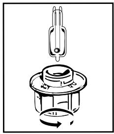DE DIETRICH DFP8363G - VERVANGING VAN DE LAMP - 1