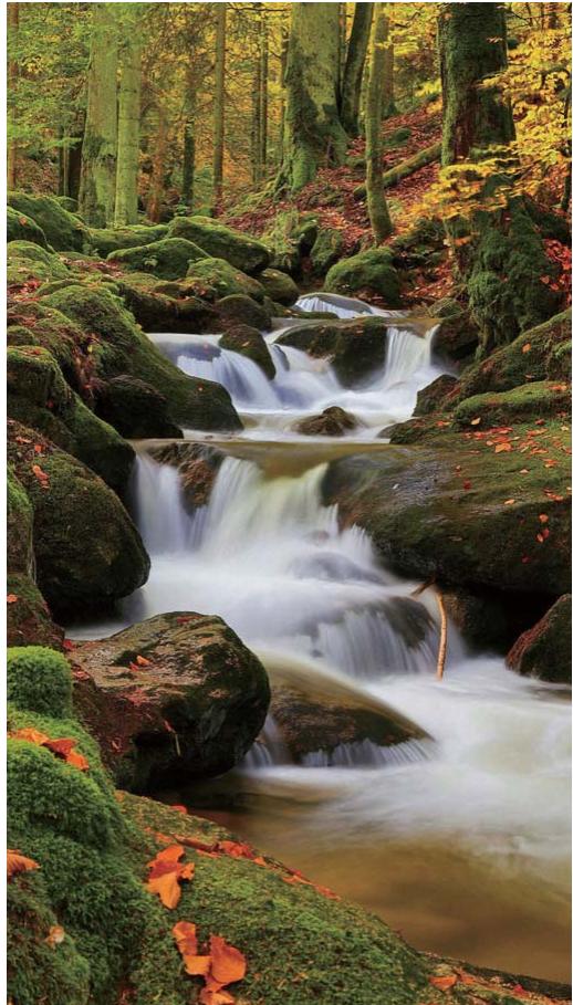 HUAWEI P30 - Photographier des rivières et des cascades grâce à la fonction eau de soie - 1