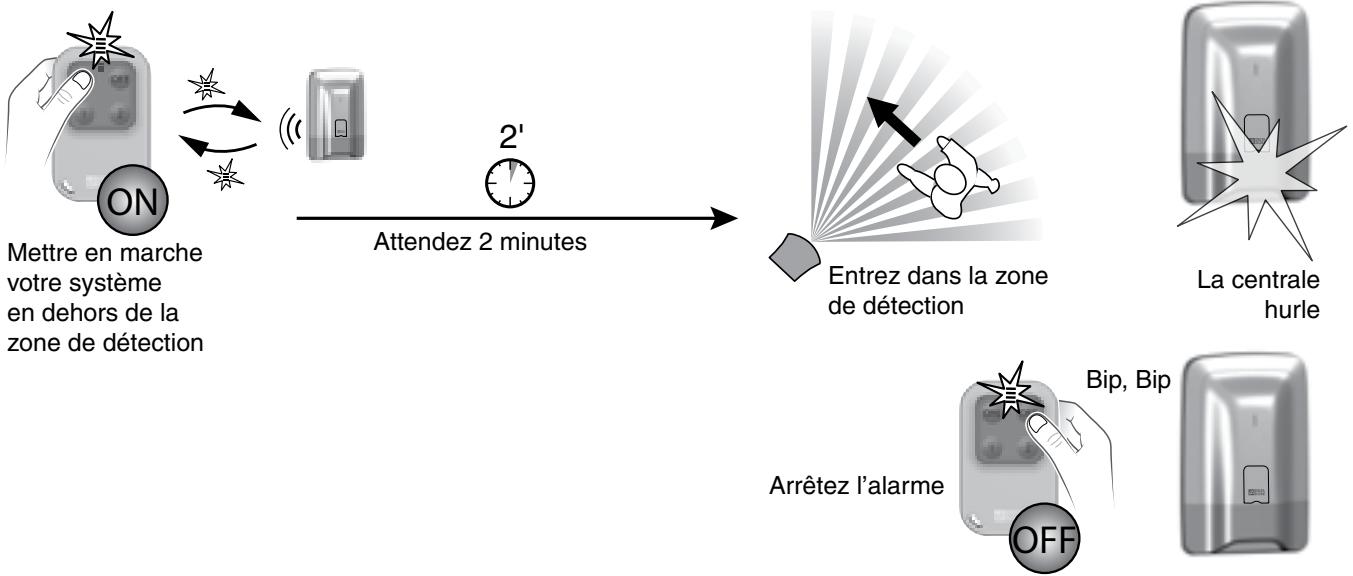 DELTA DORE 4239474S - Tester les détecteurs de mouvement - 1