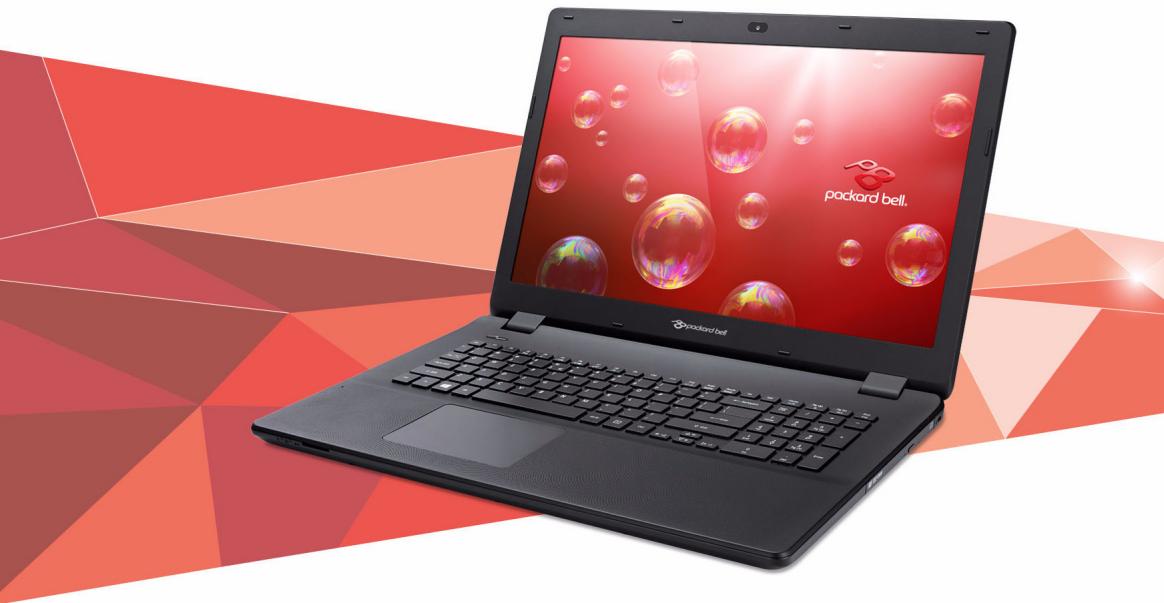 PACKARD BELL EASYNOTE TG81BA-C2N - Packard Bell EasyNote LG Manuel d'utilisation - 1