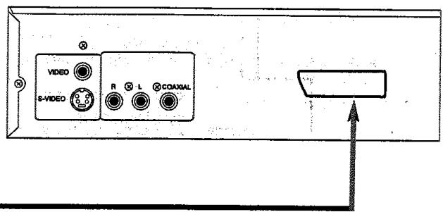 PROLINE DVD1050 - Meilleures : SCART - 2