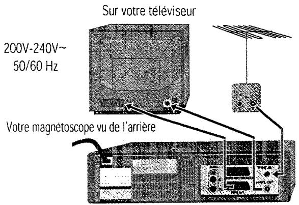 PROLINE SVN9950 - Guide rapide d'utilisation - 1