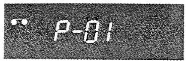 PROLINE SVN9950 - Enregistrement immédiat - 2