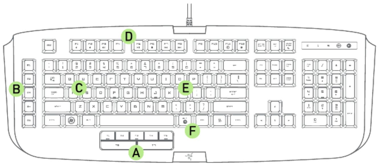 RAZER ANANSI - DISPOSITION DU CLAVIER - 1