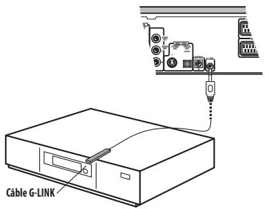 PIONEER DVR-RT601H-S - Branchez le câble G-LINK™ fourni sur la prise G-LINK™. - 1